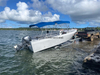 Abelly 580fs Fishseeker Boat